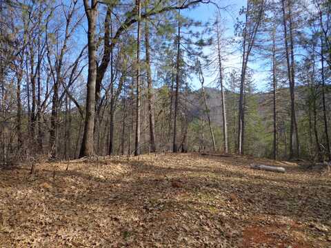 5 Lots, off Statton Rd, Lakehead, CA 96051