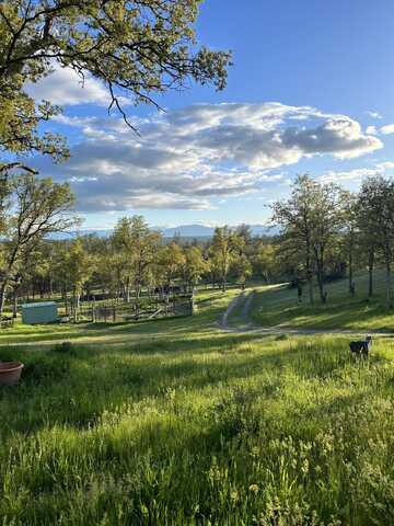 20 acres Singing Trees, Cottonwood, CA 96022