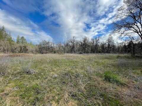 160 Acres Donkey Mine and Madison, Oak Run, CA 96069