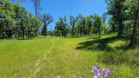 17275 Quail Ridge Rd, Cottonwood, CA 96022