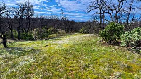 Lot 12 Oak Valley Drive, Cottonwood, CA 96022