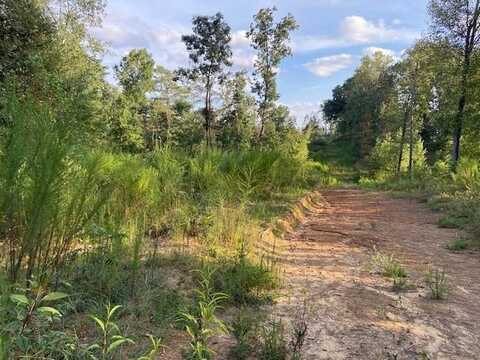 0 Co Rd 972, Cullman, AL 35057