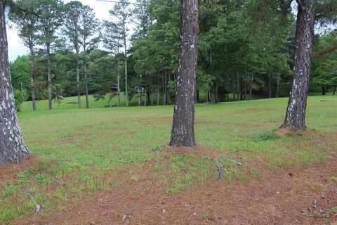 000 Alabama St, Killen, AL 35645