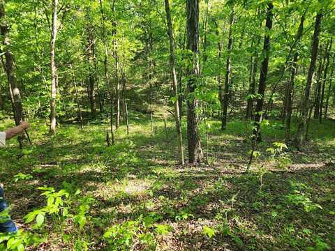 00 Henderson Point Rd, Tuscumbia, AL 35674