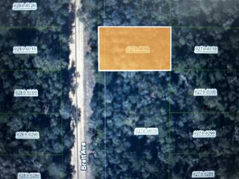 000 Brett Ave, Interlachen, FL 32148