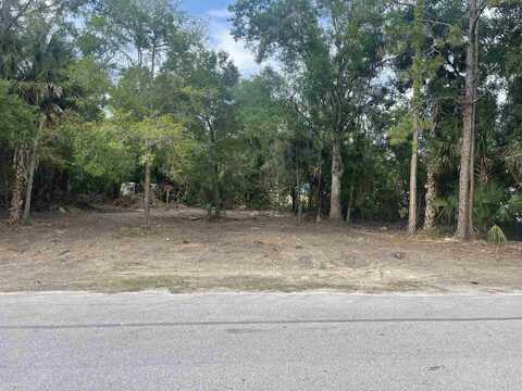 00 Phillips Dairy Rd, Palatka, FL 32177