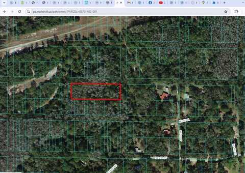 0000 No Street Address, Fort Mc Coy, FL 32134