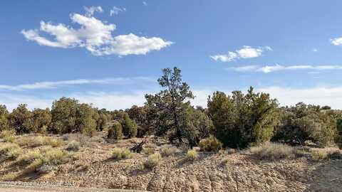 Lot 37 ANCIENT TRAILS Circle, Aztec, NM 87410