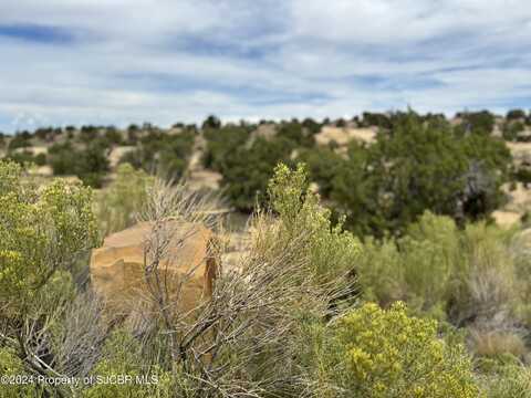 1600 VISTA HERMOSA Trail, Farmington, NM 87401