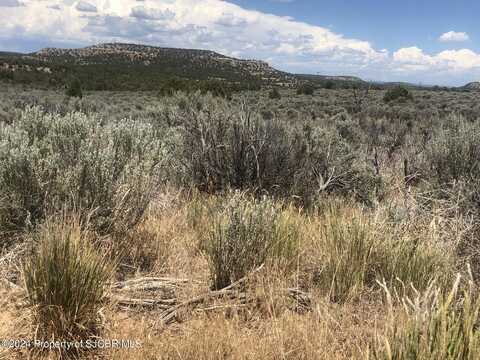 Lot 76 NM 511, Navajo Dam, NM 87419