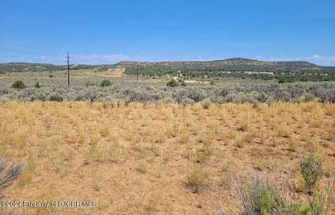 Nya ROAD 4056, Navajo Dam, NM 87419