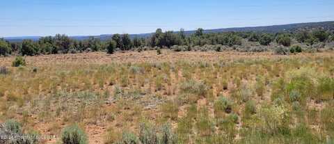 Lots 85,91 NM 511, Navajo Dam, NM 87419