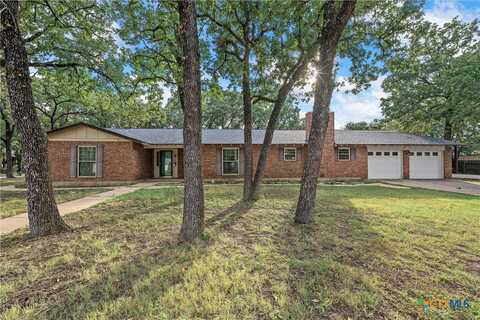 117 Oak Forest Drive, Elm Mott, TX 76640