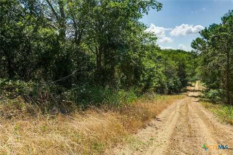 Lot 649 Kaukonahua Lane, Bastrop, TX 78602