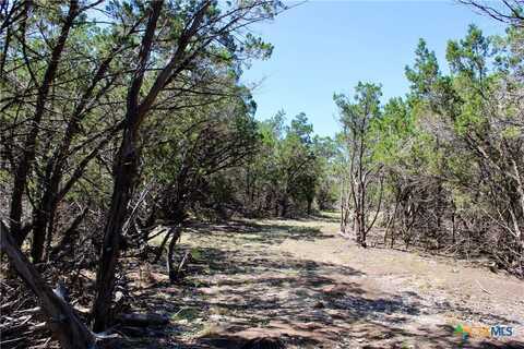 Lot 89 N Stallion Estates Drive, Spring Branch, TX 78070