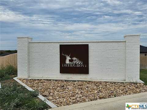 8115 Travertine Lane, Temple, TX 76502