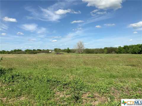 0 S Parker Avenue, Nixon, TX 78140