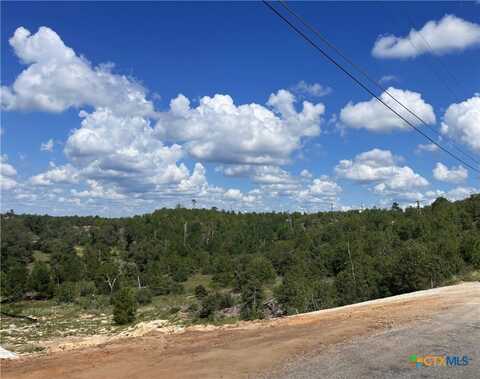 Lot 12 River Forest Drive, Bastrop, TX 78602