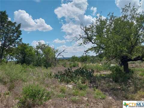 313 EAGLE BASIN Circle, Spicewood, TX 78669