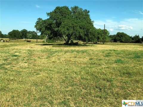 Lot 7 PVT 1672, Hallettsville, TX 77964