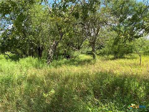 Tbd CR 1144 and CR 1196, Sinton, TX 78387