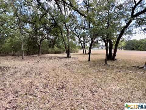 Tbd Cedar Mountain Road, Gatesville, TX 76528