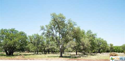 Tbd Lot 82 Shin Oak Drive, Lampasas, TX 76550