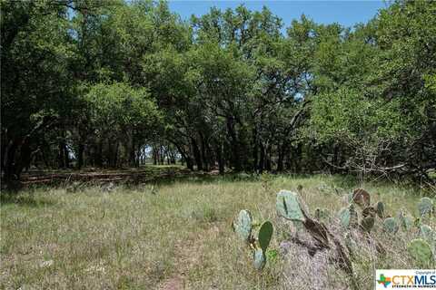 Tbd Lot 135 Shin Oak Drive, Lampasas, TX 76550