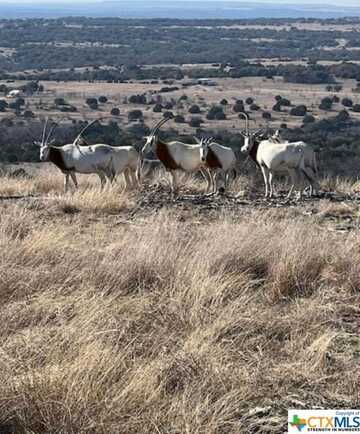 Lot 23 Cottonwood Mesa Drive, Kempner, TX 76539