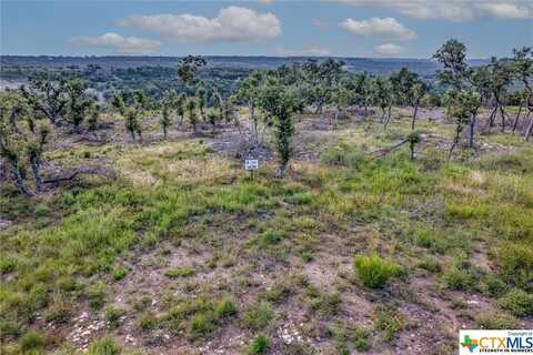 Lot 194 N Flat Rock Way, Johnson City, TX 78636