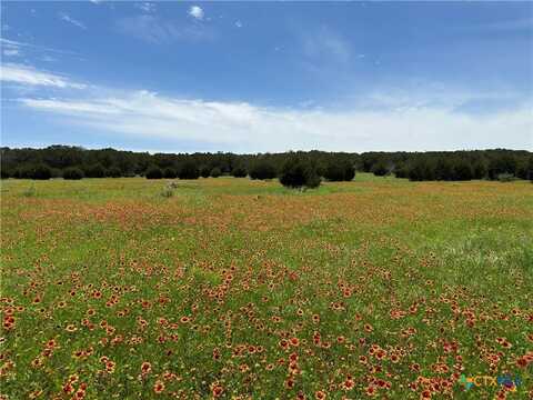 Lot 158 Addax Court, Lampasas, TX 76550