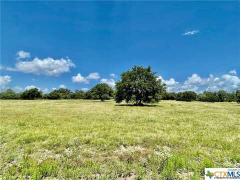 0 Mustang Valley Drive, Victoria, TX 77905