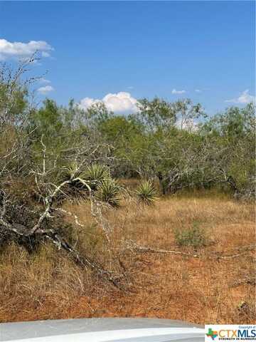 5986 FM 1107 Unit B (tract 3), Stockdale, TX 78160