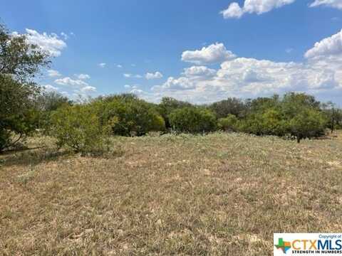 05 County Rd 232, Floresville, TX 78114