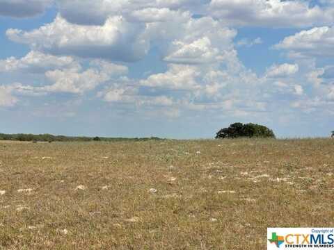 07 County Rd 232, Floresville, TX 78114