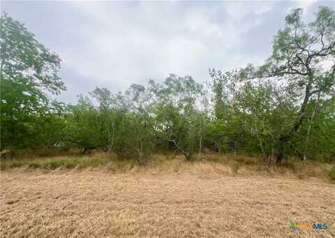 Lot 3 Wisteria Lane, Smiley, TX 78159