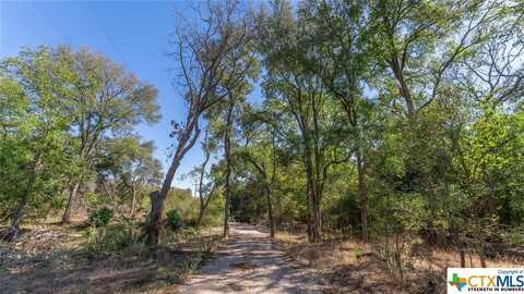 3597 Baker Road, Kingsbury, TX 78638