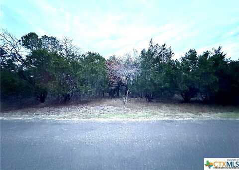 Lot 020a Hodge Canyon Drive, Salado, TX 76571