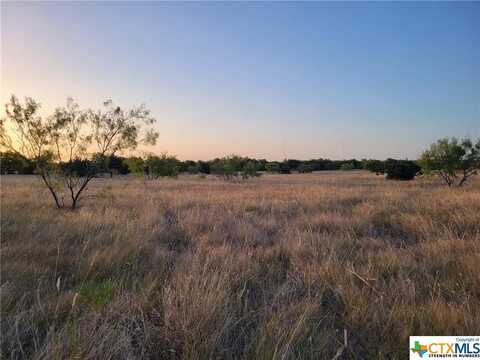 Tbd Neal Road, Troy, TX 76579