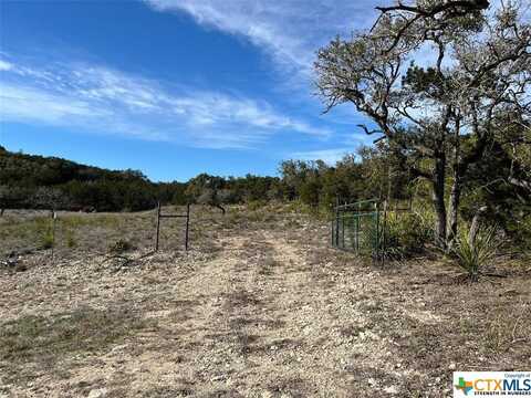 229 Lois Lane, Canyon Lake, TX 78133