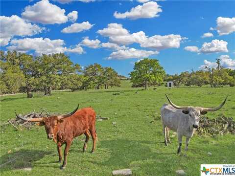 55 Thriving Oak Drive, Fredericksburg, TX 78624