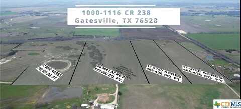 Lot 2 County Rd 238, Gatesville, TX 76528