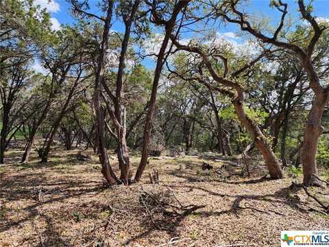 Lot 18 Forest Lake Drive, Spring Branch, TX 78070