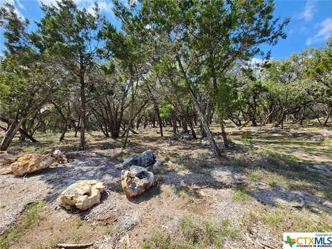 Lot 19 Forest Lake Drive, Spring Branch, TX 78070