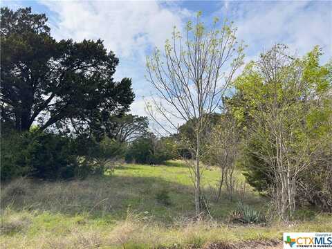 0 Cedar Ridge Road, Gatesville, TX 76528