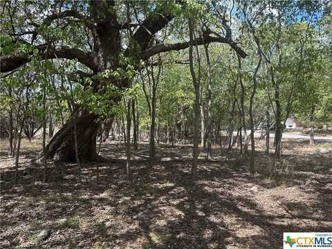 3 Dog Wood Court, Morgans Point Resort, TX 76513