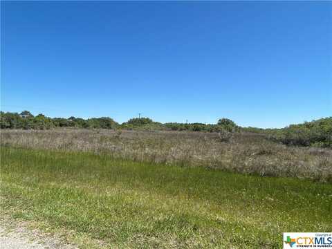 Tbd Wittnebert Road, Seadrift, TX 77983