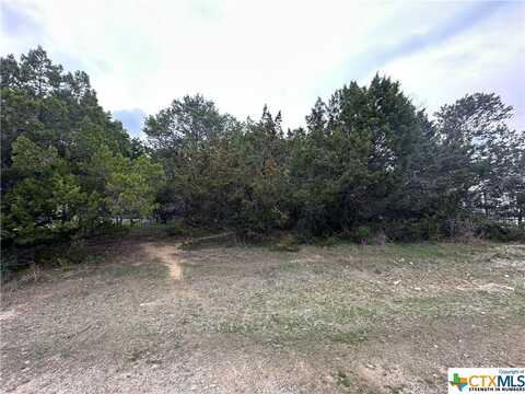 1692 Lakeview Drive, Canyon Lake, TX 78133