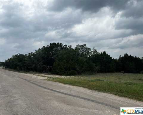 Tbd County Road 3106, Kempner, TX 76539