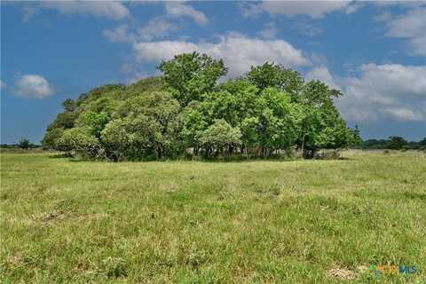 000 FM 609, Flatonia, TX 78941